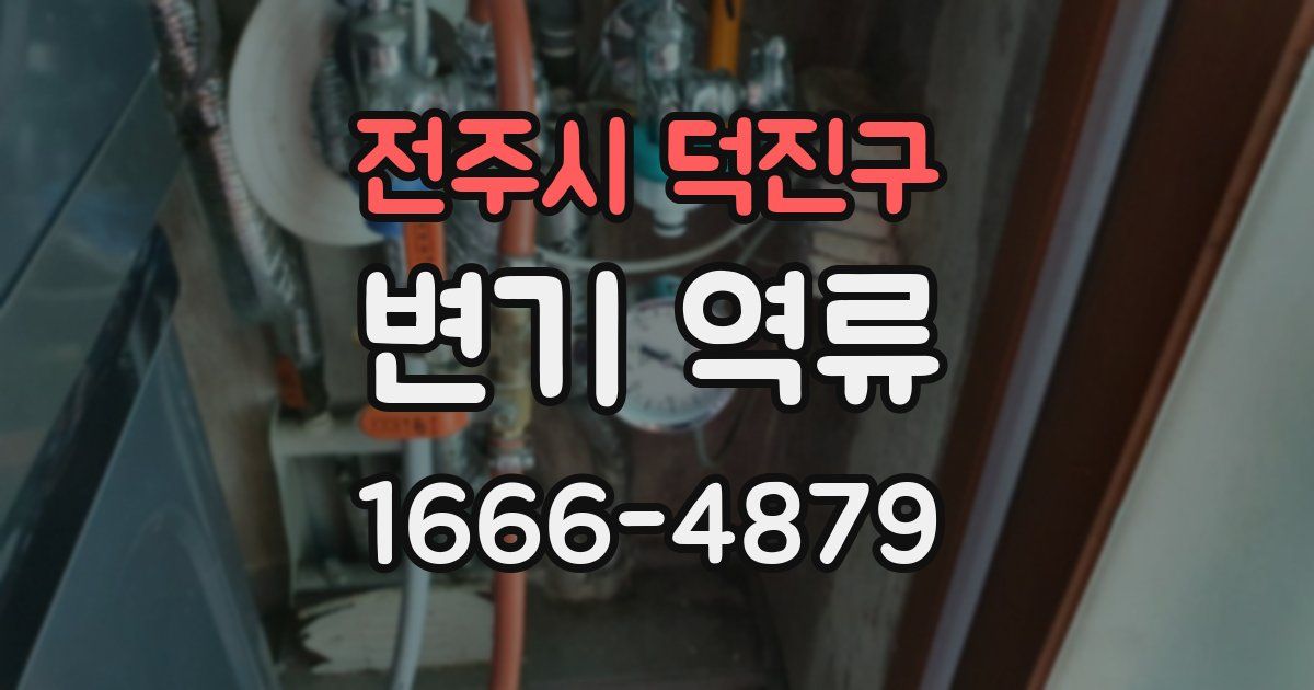전주시 덕진구 변기 역류