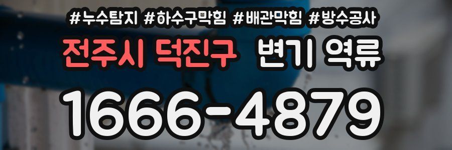 전주시 덕진구 변기 역류