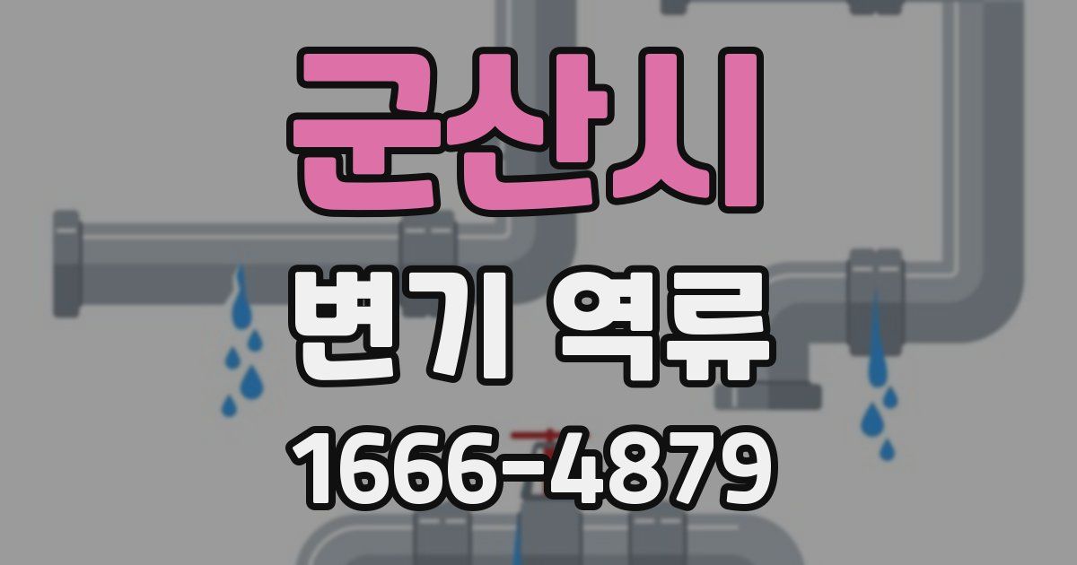 군산시 변기 역류