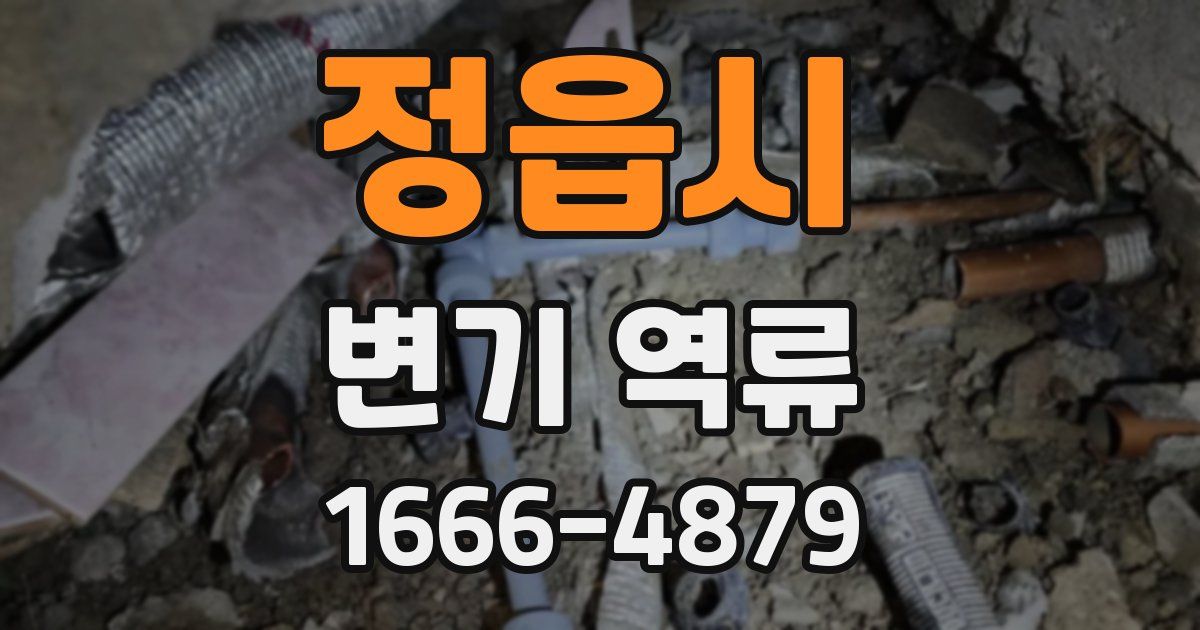 정읍시 변기 역류
