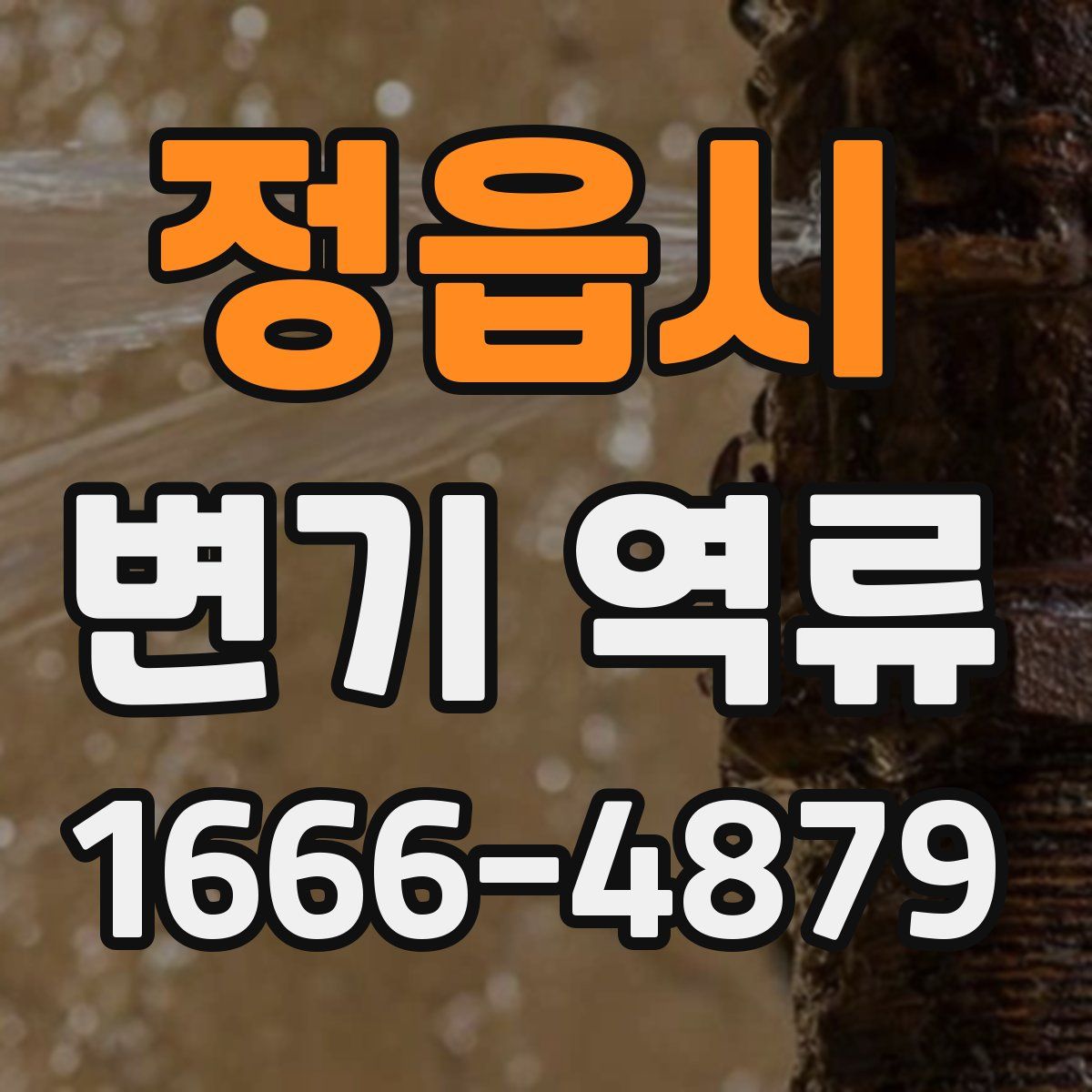 정읍시 변기 역류