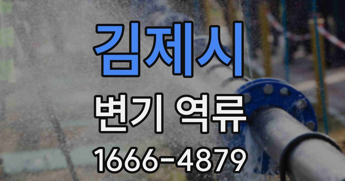 김제시 변기 역류