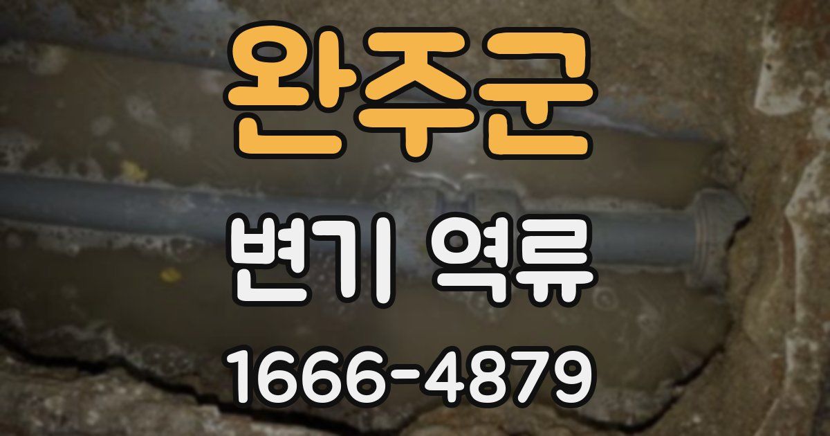 완주군 변기 역류