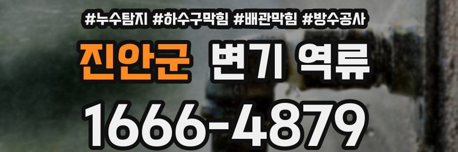 진안군 변기 역류