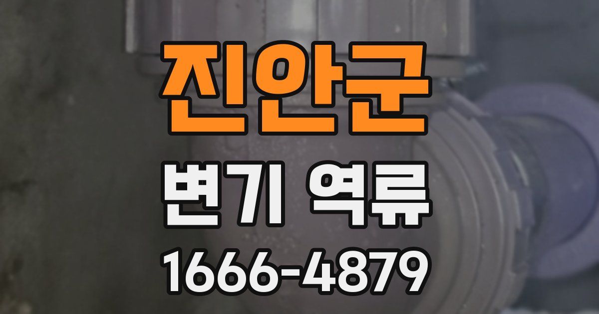 진안군 변기 역류