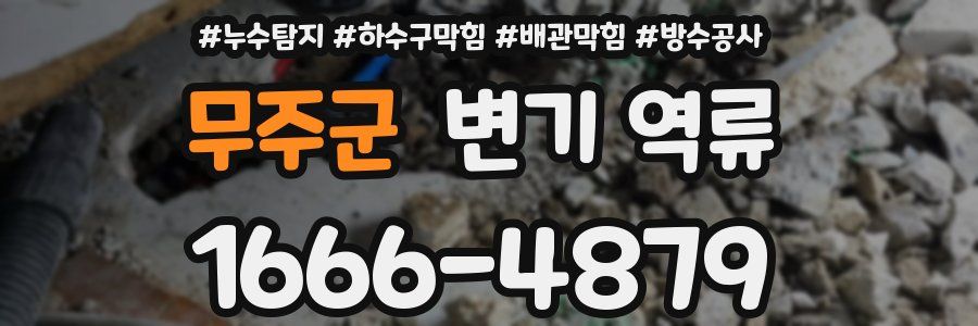 무주군 변기 역류