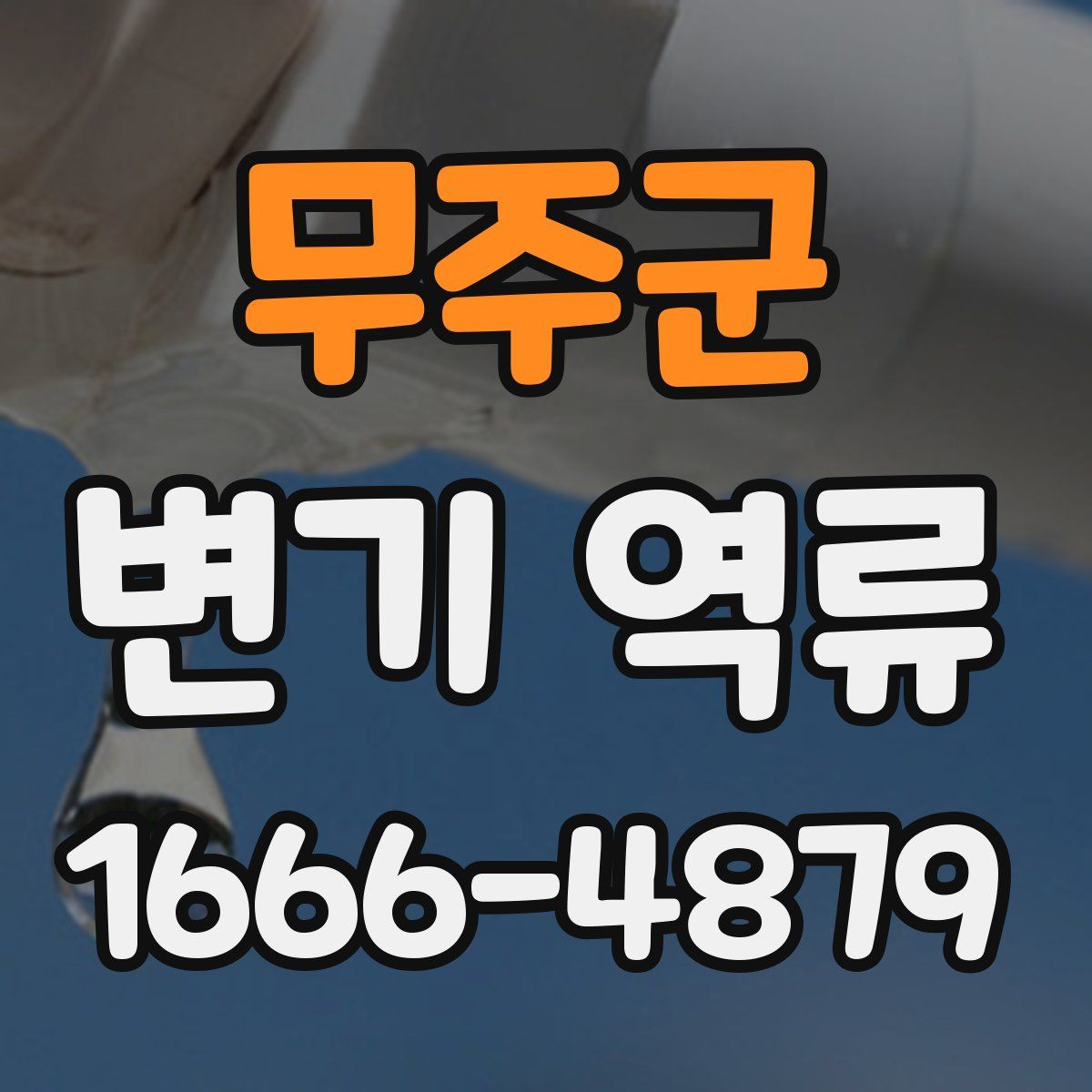 무주군 변기 역류