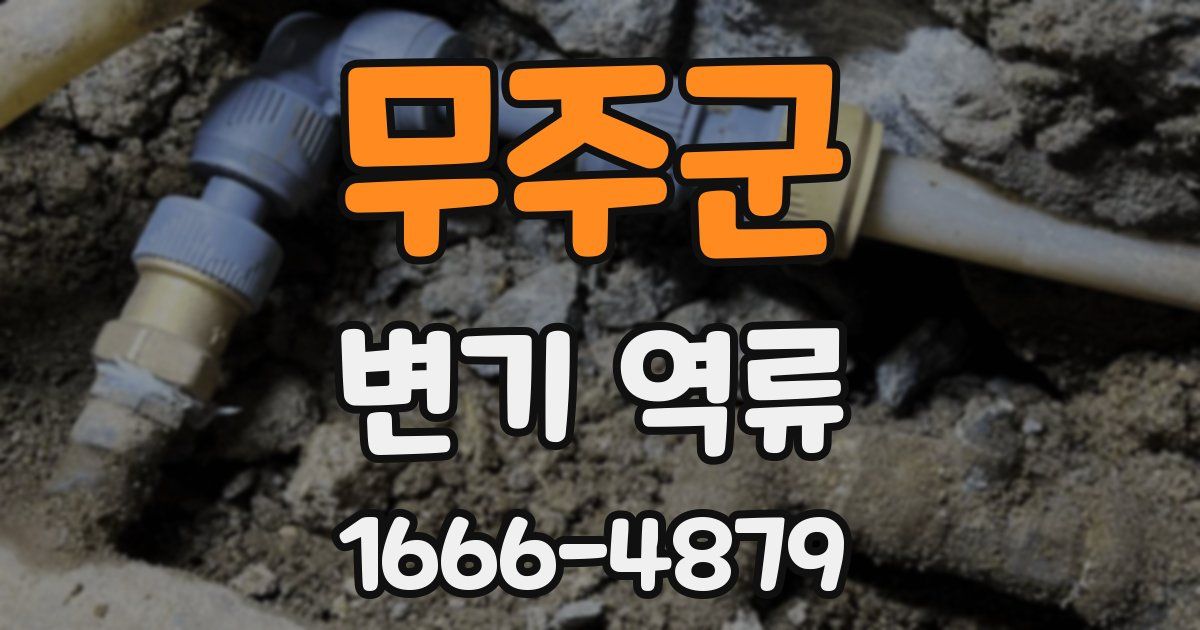 무주군 변기 역류