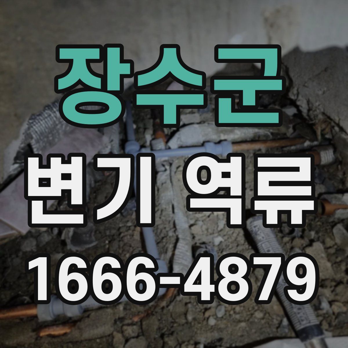 장수군 변기 역류