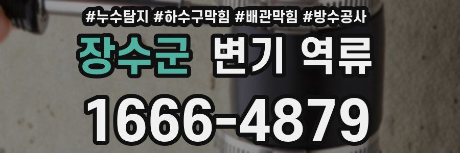 장수군 변기 역류