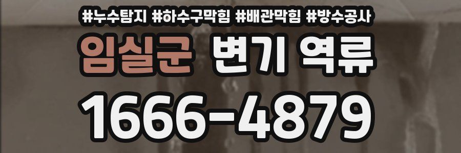 임실군 변기 역류