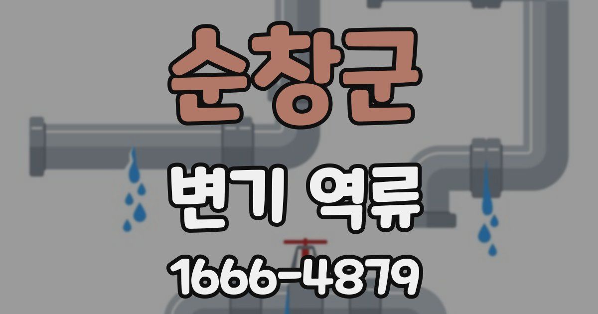 순창군 변기 역류