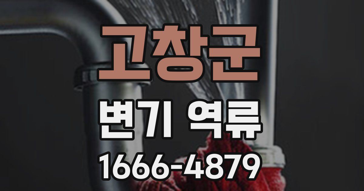 고창군 변기 역류