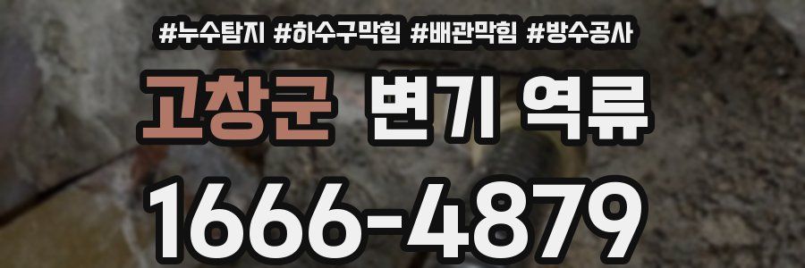 고창군 변기 역류