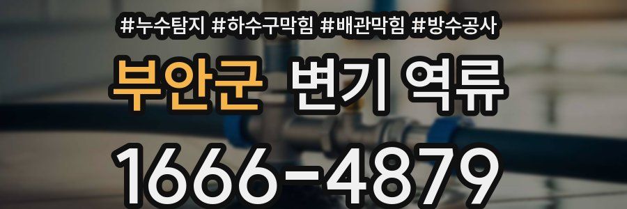부안군 변기 역류