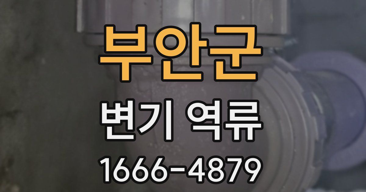 부안군 변기 역류