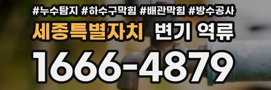 세종특별자치 변기 역류
