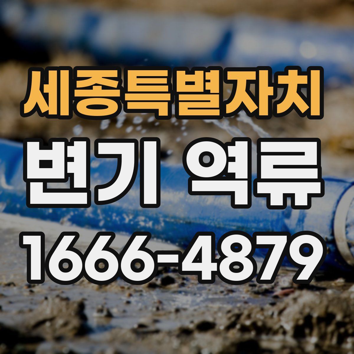 세종특별자치 변기 역류