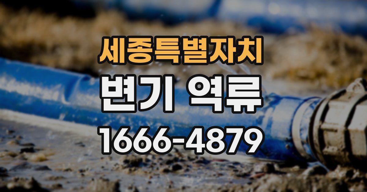 세종특별자치 변기 역류