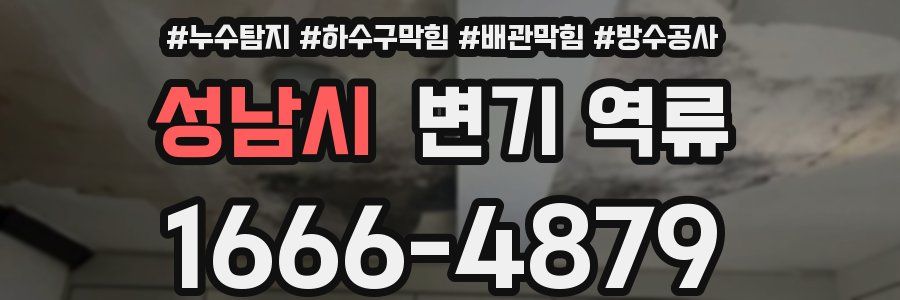성남시 변기 역류