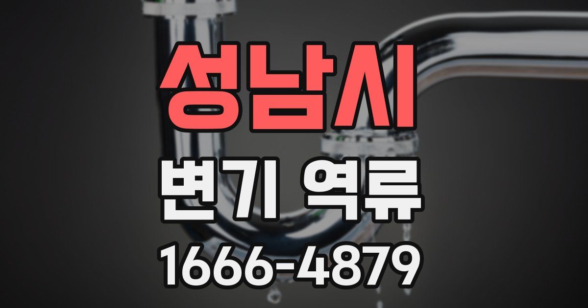 성남시 변기 역류