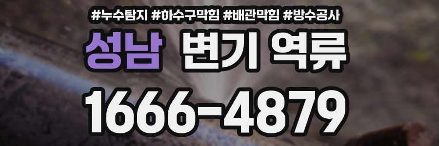 성남 변기 역류