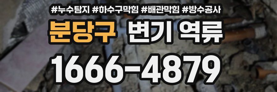 분당구 변기 역류