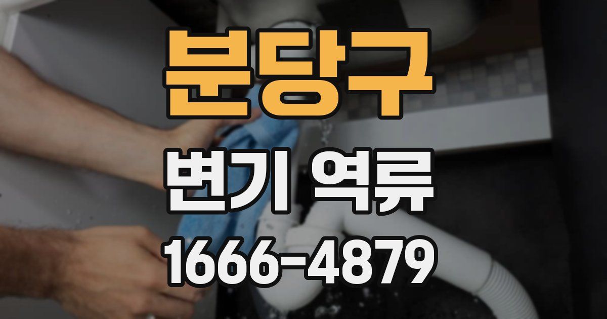 분당구 변기 역류