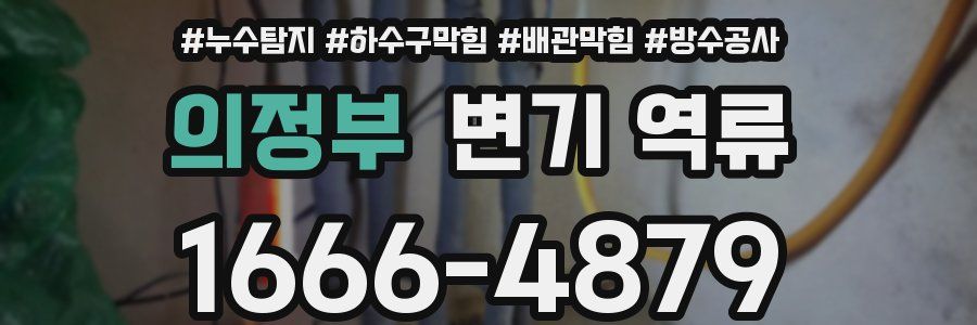의정부 변기 역류