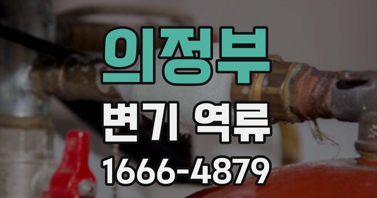 의정부 변기 역류