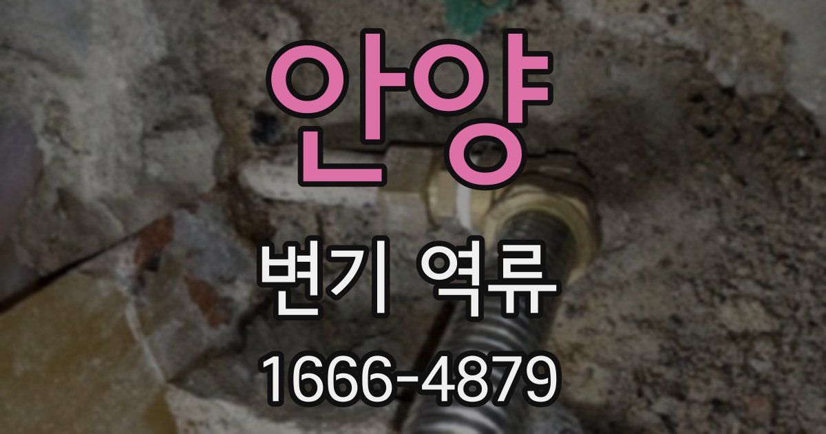 안양 변기 역류