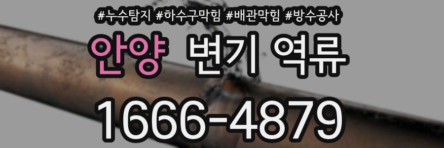 안양 변기 역류
