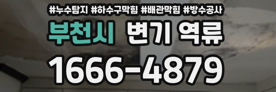 부천시 변기 역류