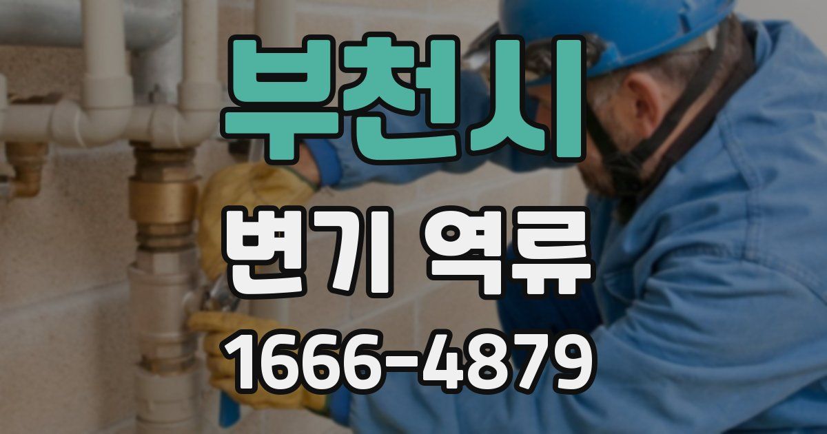 부천시 변기 역류