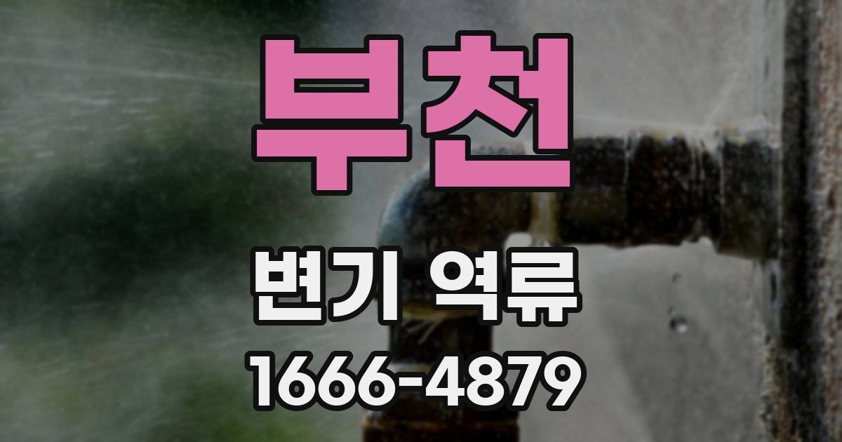 부천 변기 역류