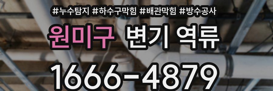 원미구 변기 역류