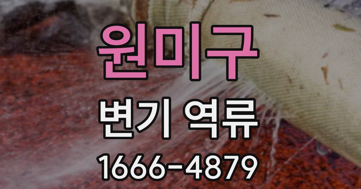 원미구 변기 역류