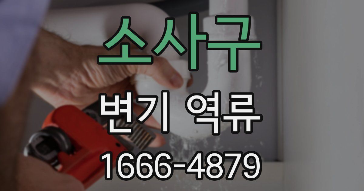 소사구 변기 역류