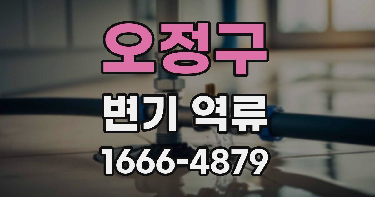 오정구 변기 역류