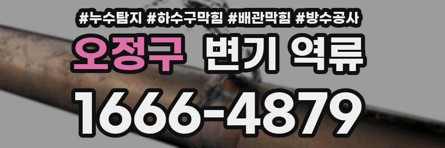 오정구 변기 역류