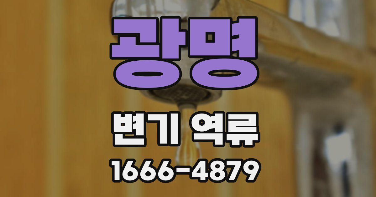광명 변기 역류