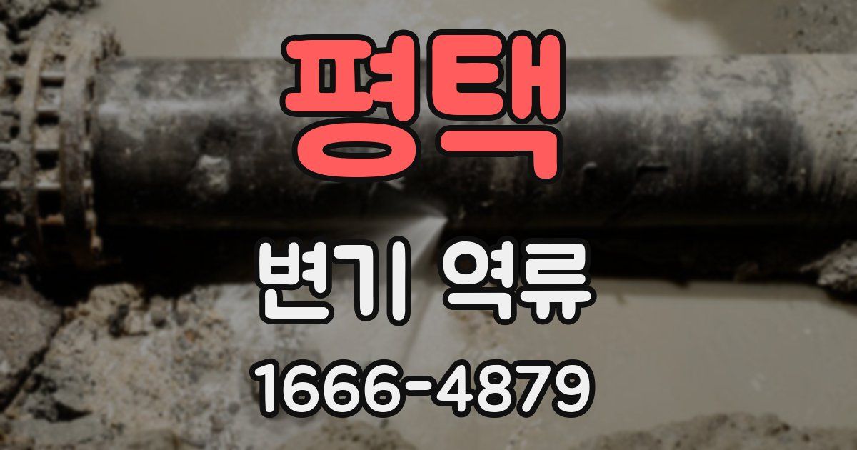 평택 변기 역류