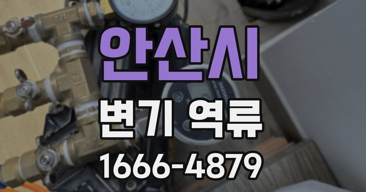 안산시 변기 역류