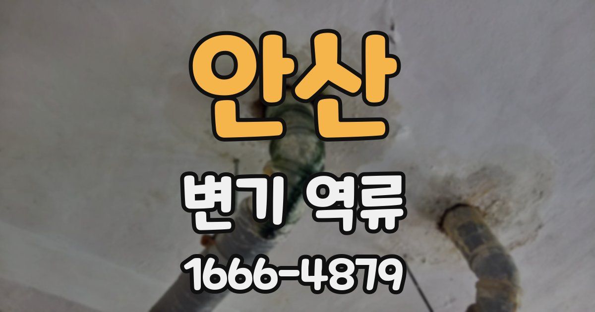 안산 변기 역류