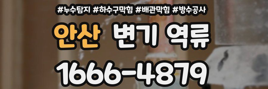안산 변기 역류