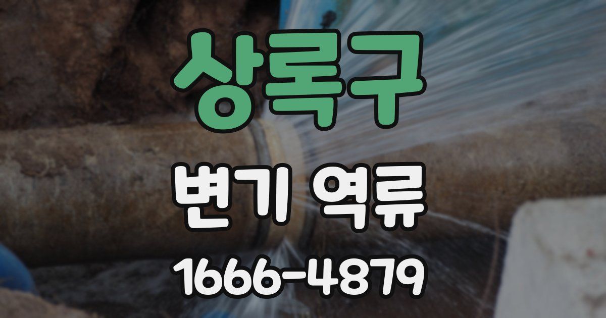상록구 변기 역류