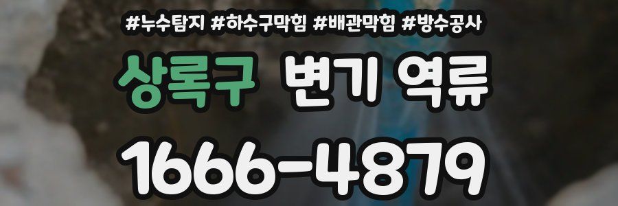 상록구 변기 역류