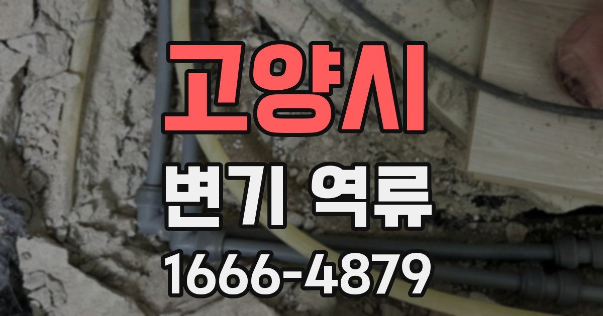 고양시 변기 역류