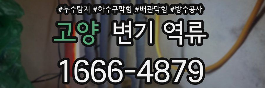 고양 변기 역류