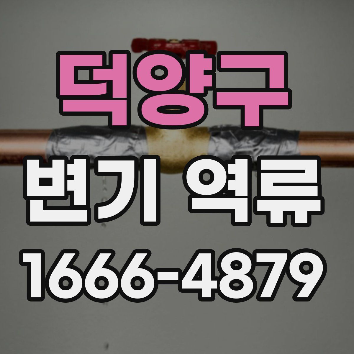 덕양구 변기 역류